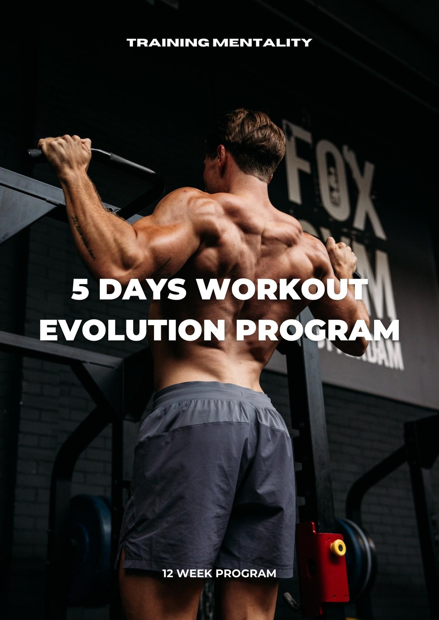 5 days workout, 12 week program (intermediate / advanced lifters)